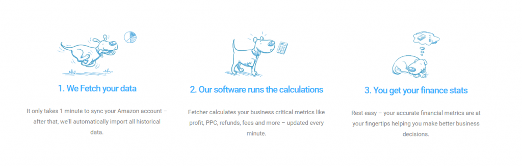 fetcher-review-2020